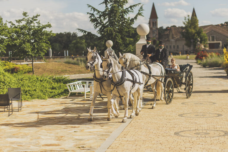 Boda de Natalia y Adrián en Aldea Santillana, Madrid, foto 25